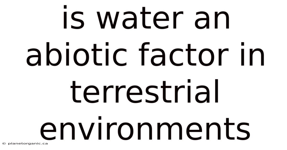 Is Water An Abiotic Factor In Terrestrial Environments