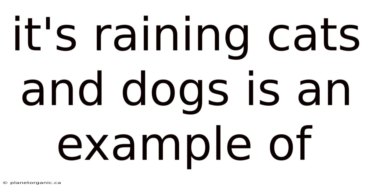 It's Raining Cats And Dogs Is An Example Of