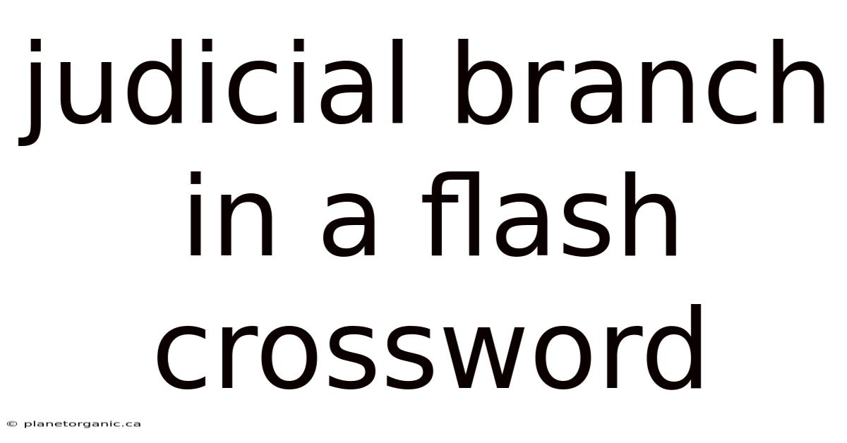 Judicial Branch In A Flash Crossword