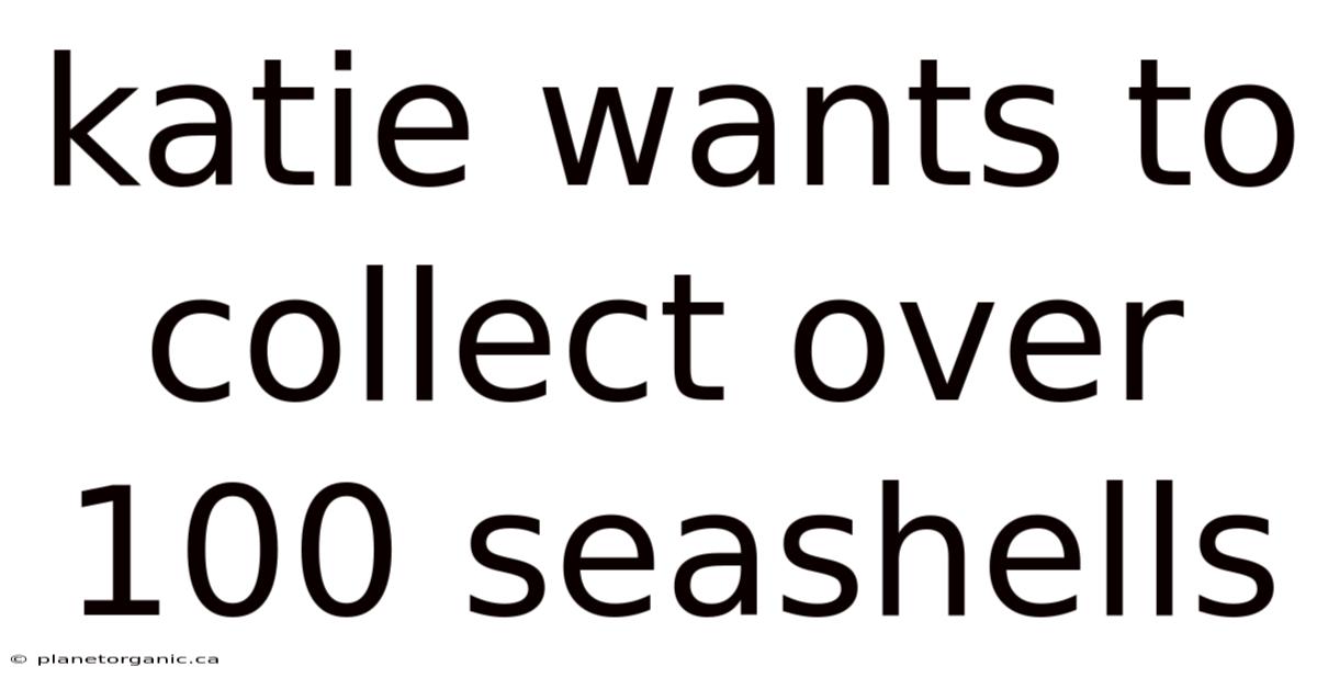 Katie Wants To Collect Over 100 Seashells