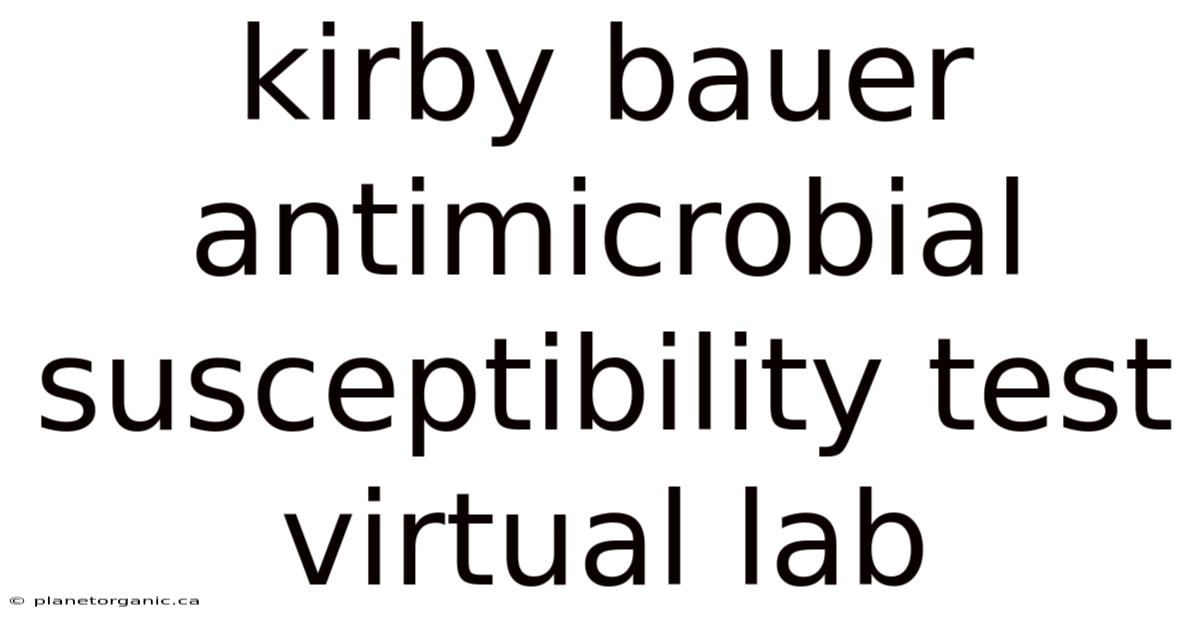 Kirby Bauer Antimicrobial Susceptibility Test Virtual Lab