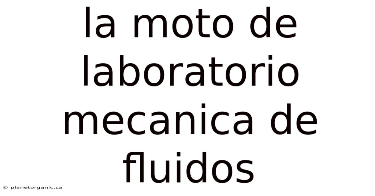 La Moto De Laboratorio Mecanica De Fluidos