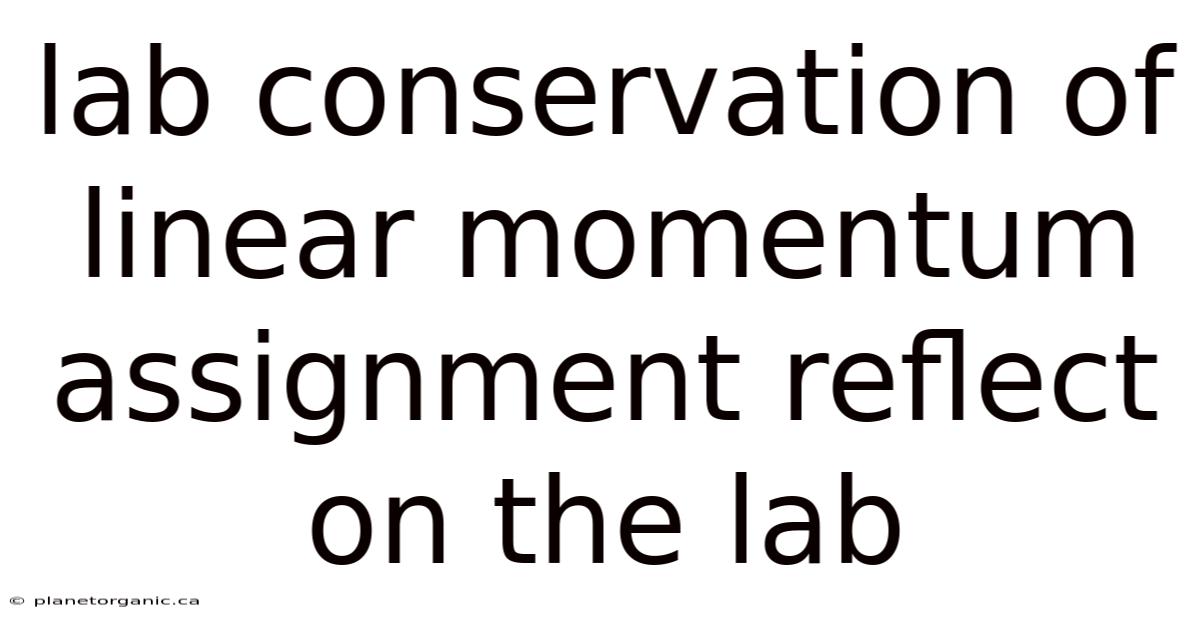 Lab Conservation Of Linear Momentum Assignment Reflect On The Lab