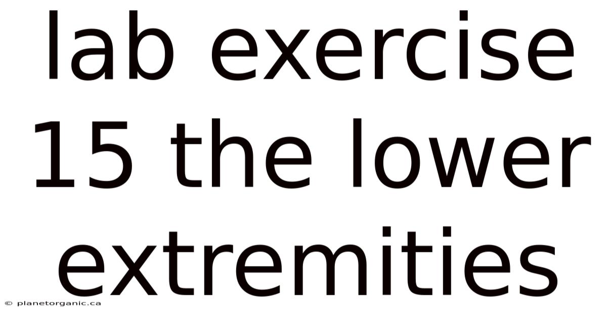 Lab Exercise 15 The Lower Extremities