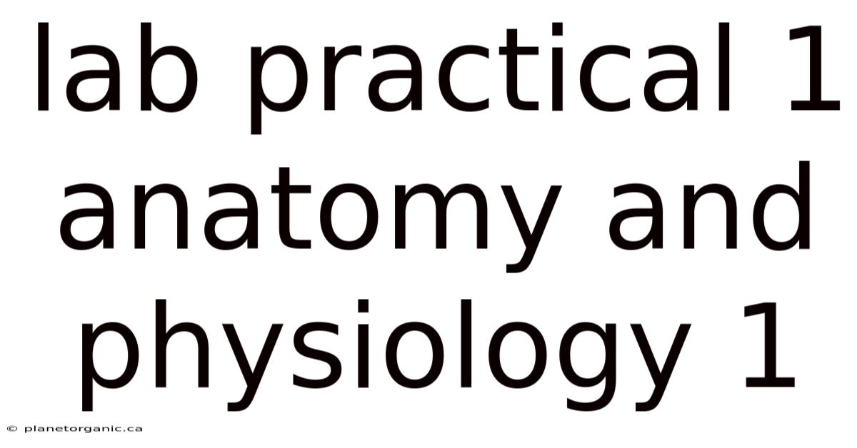 Lab Practical 1 Anatomy And Physiology 1