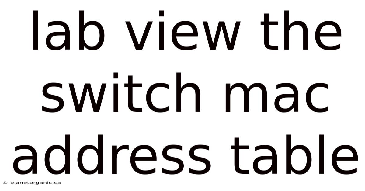 Lab View The Switch Mac Address Table