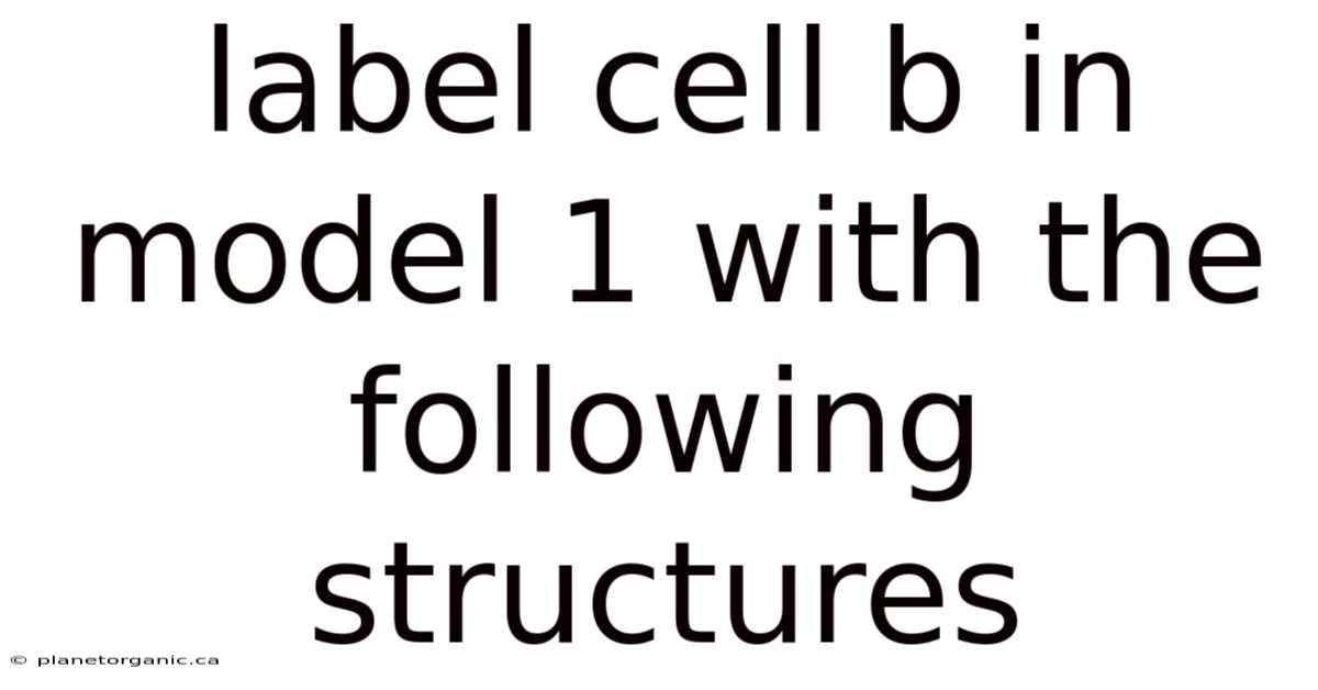 Label Cell B In Model 1 With The Following Structures
