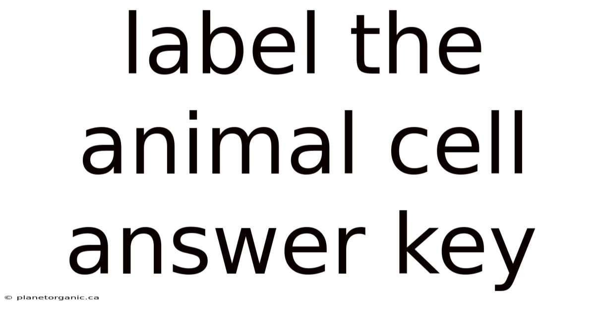 Label The Animal Cell Answer Key