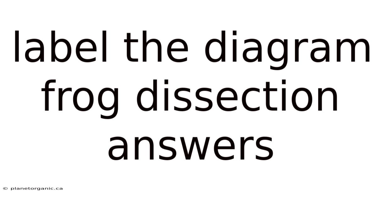 Label The Diagram Frog Dissection Answers