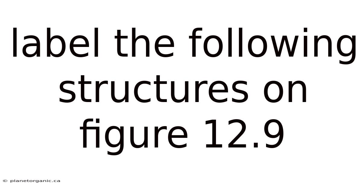 Label The Following Structures On Figure 12.9