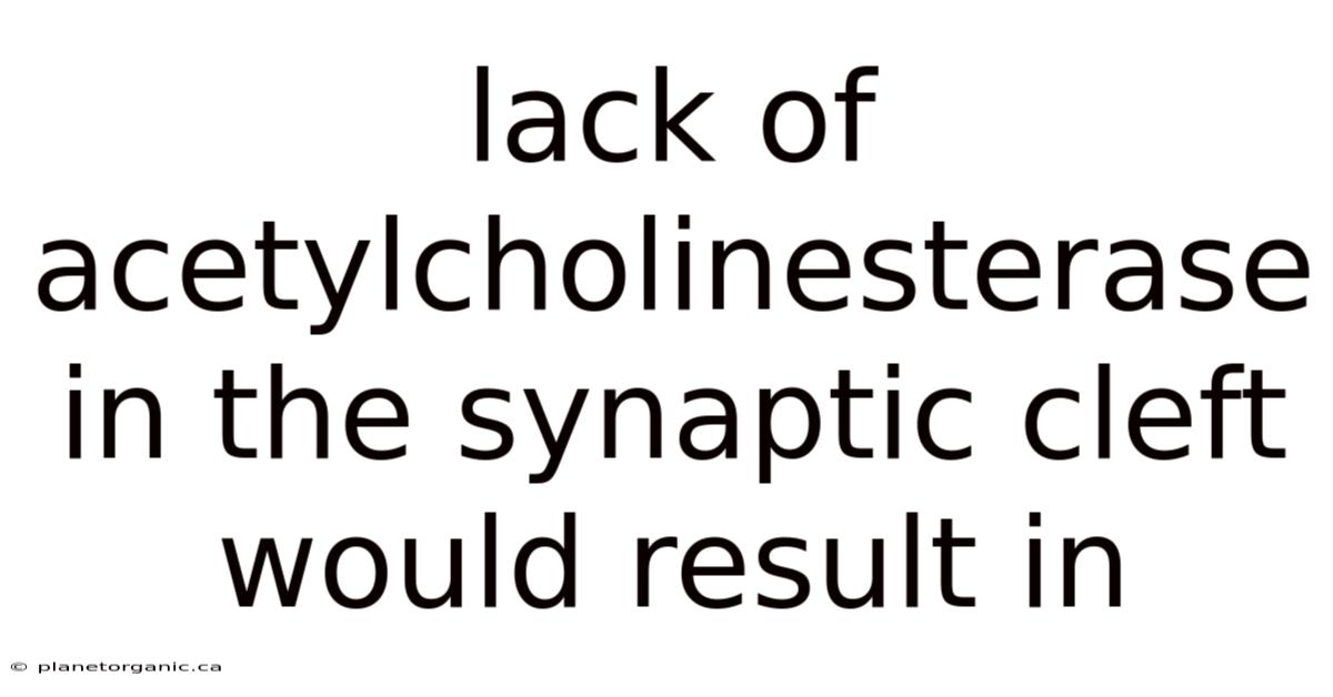 Lack Of Acetylcholinesterase In The Synaptic Cleft Would Result In