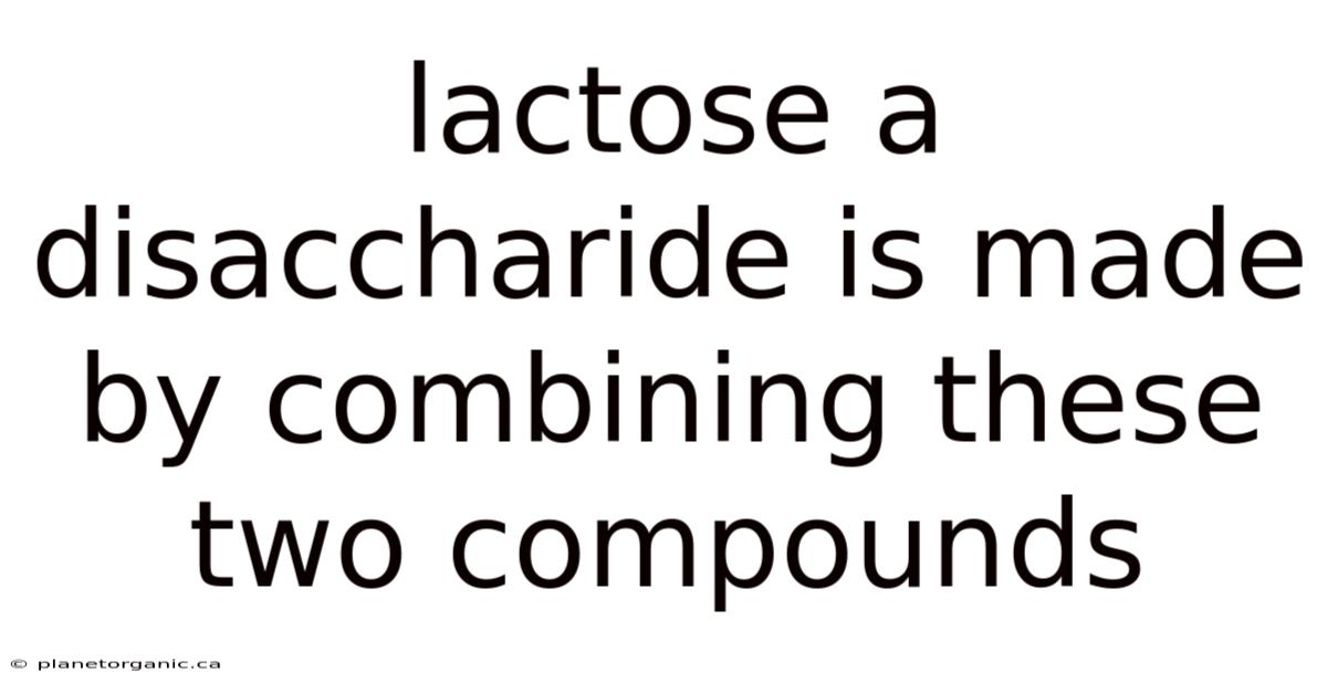 Lactose A Disaccharide Is Made By Combining These Two Compounds