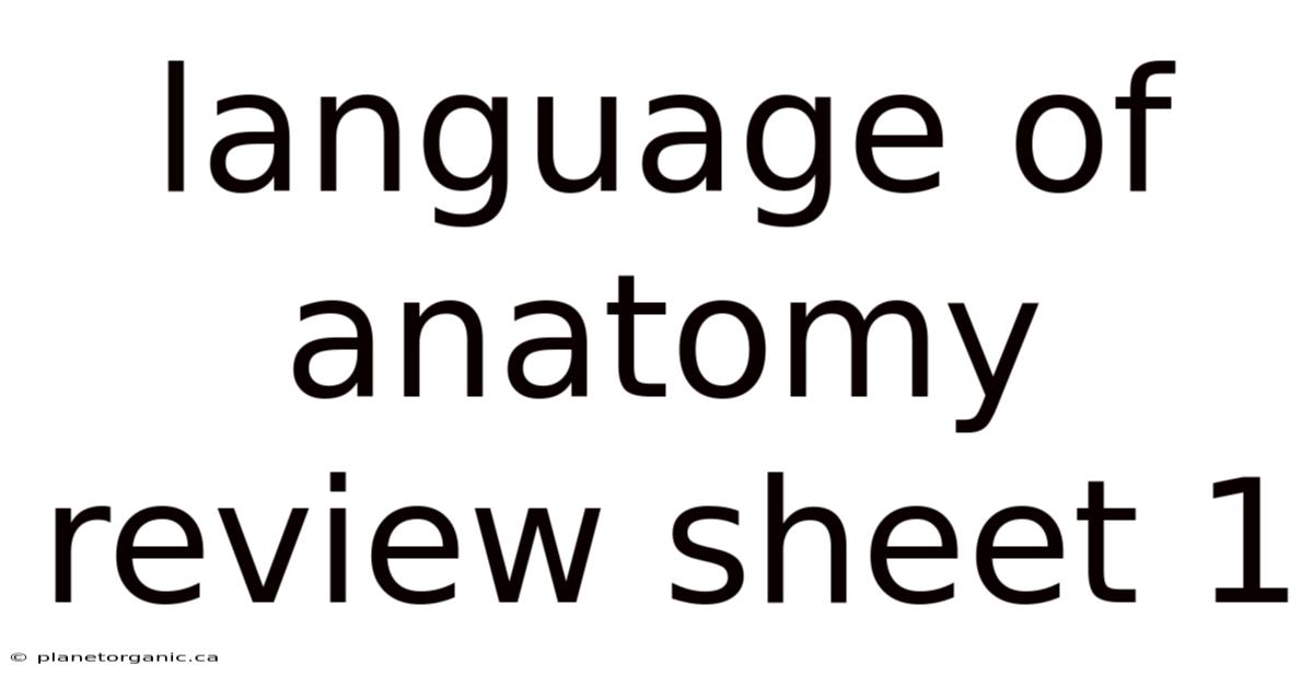 Language Of Anatomy Review Sheet 1