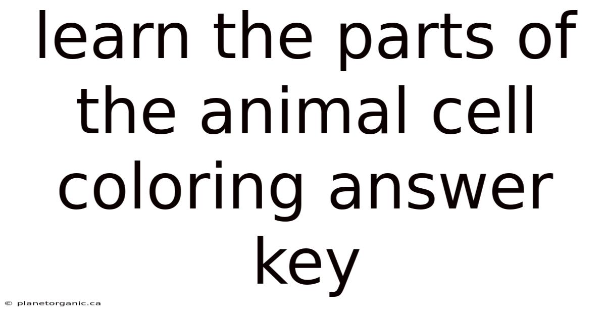 Learn The Parts Of The Animal Cell Coloring Answer Key