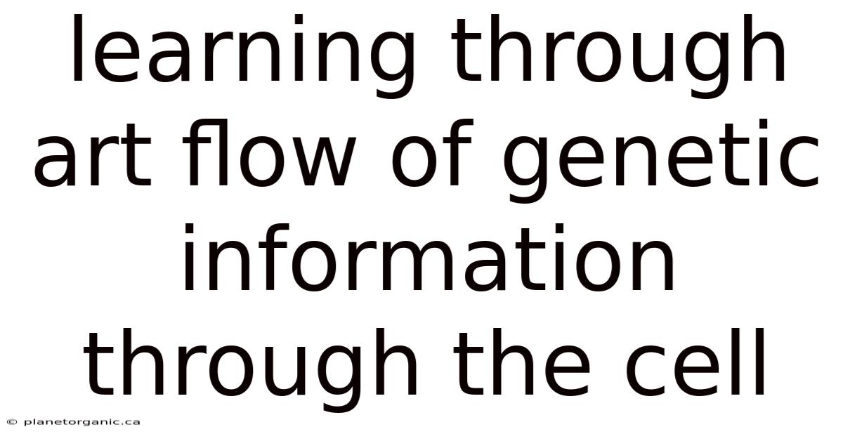 Learning Through Art Flow Of Genetic Information Through The Cell