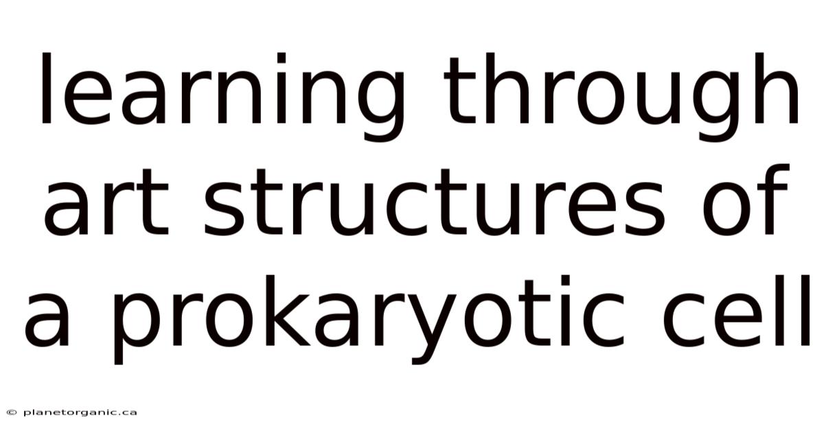 Learning Through Art Structures Of A Prokaryotic Cell