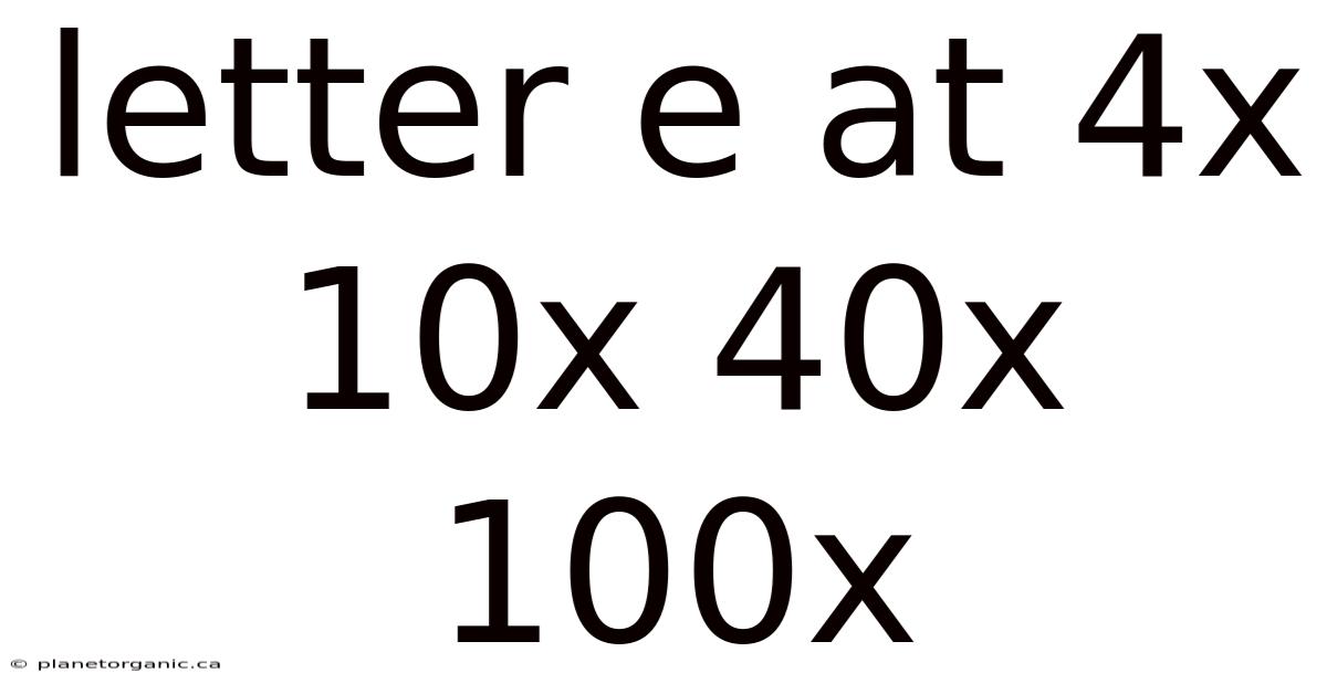 Letter E At 4x 10x 40x 100x