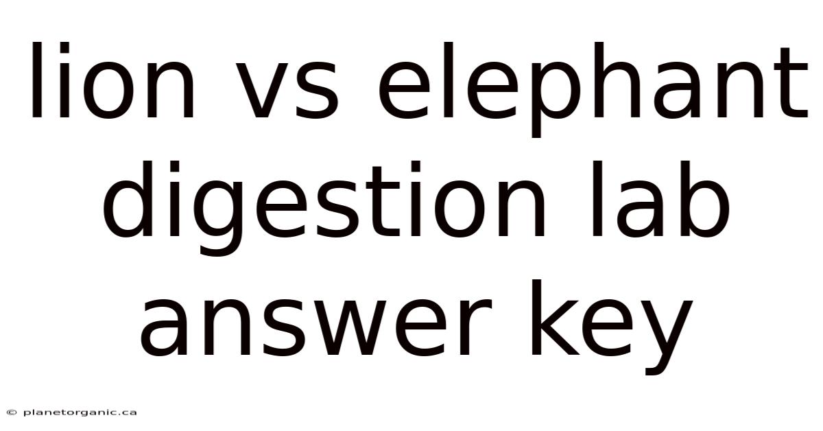 Lion Vs Elephant Digestion Lab Answer Key