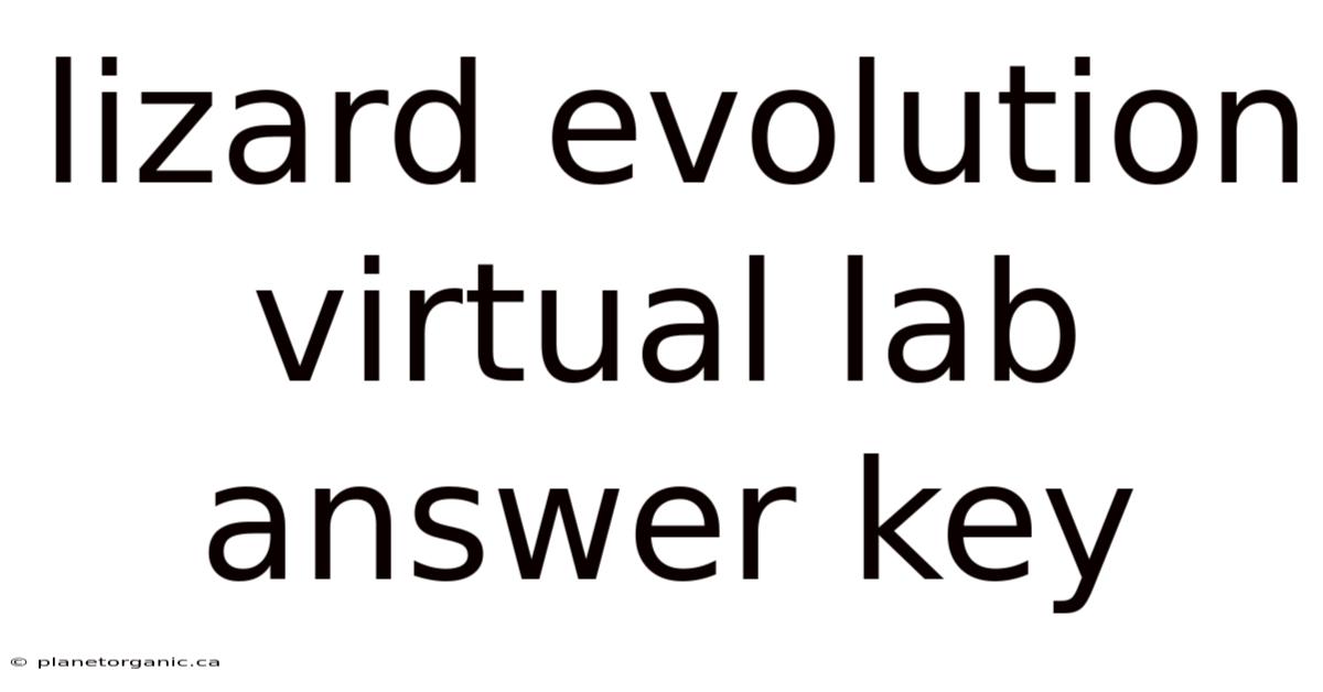 Lizard Evolution Virtual Lab Answer Key