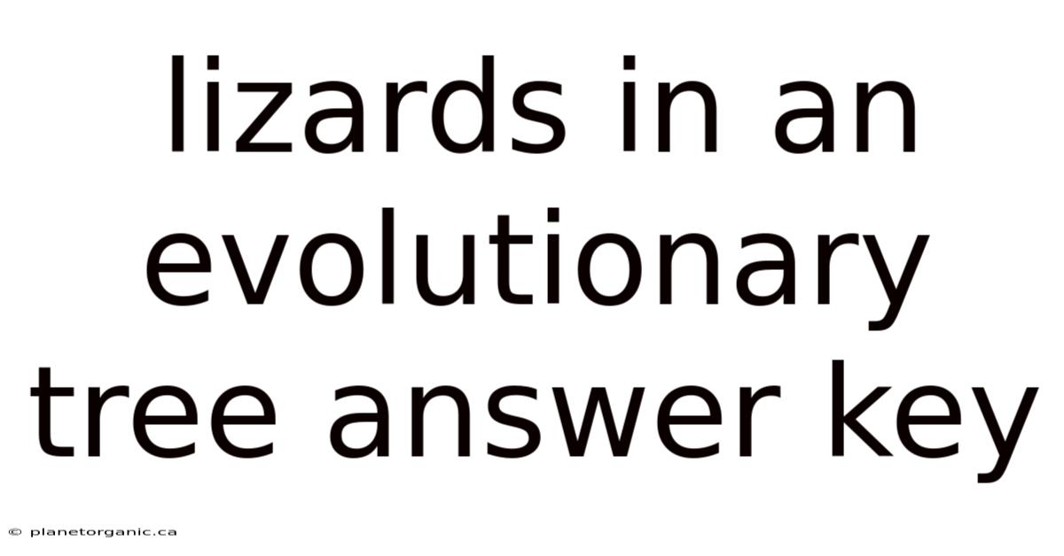 Lizards In An Evolutionary Tree Answer Key