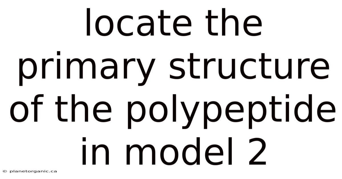 Locate The Primary Structure Of The Polypeptide In Model 2