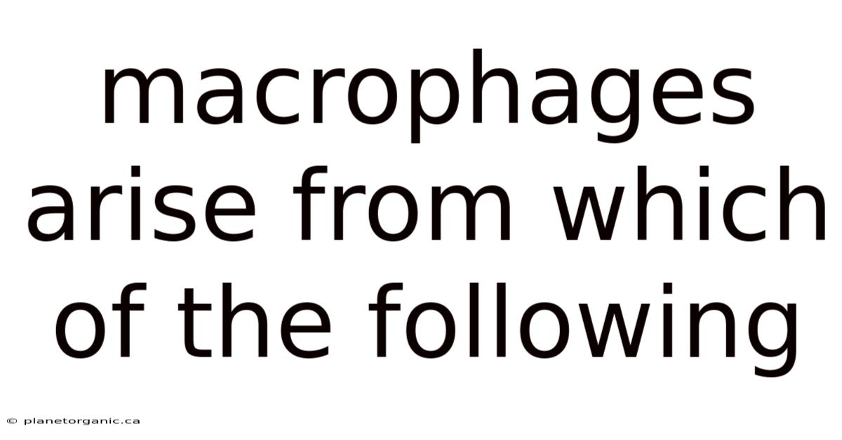 Macrophages Arise From Which Of The Following