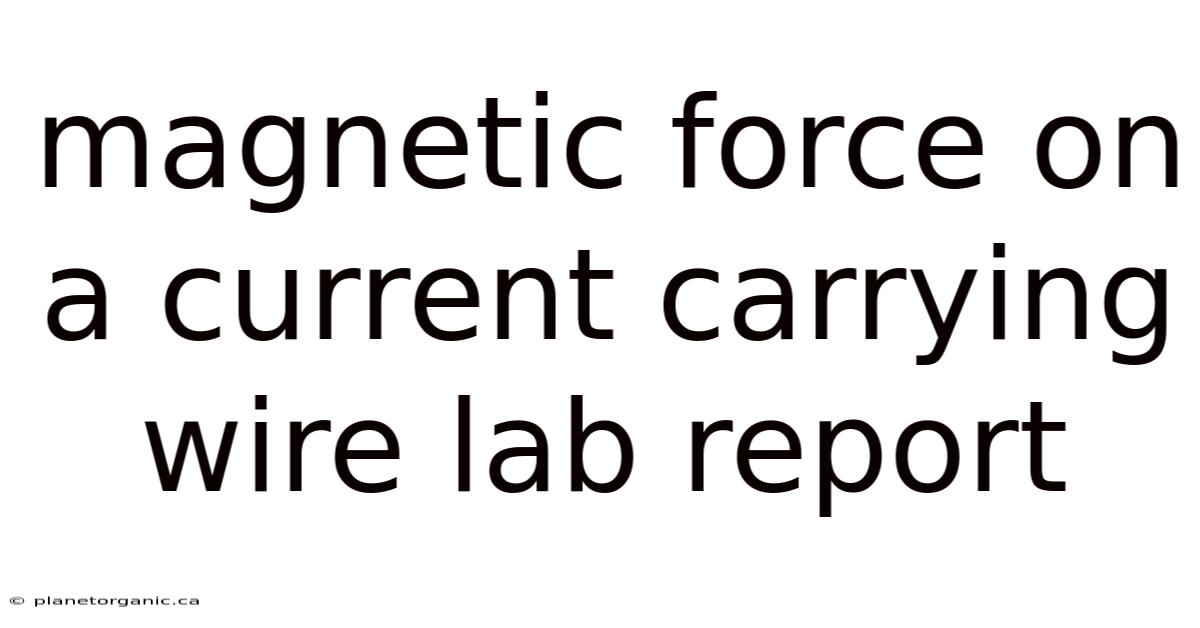 Magnetic Force On A Current Carrying Wire Lab Report