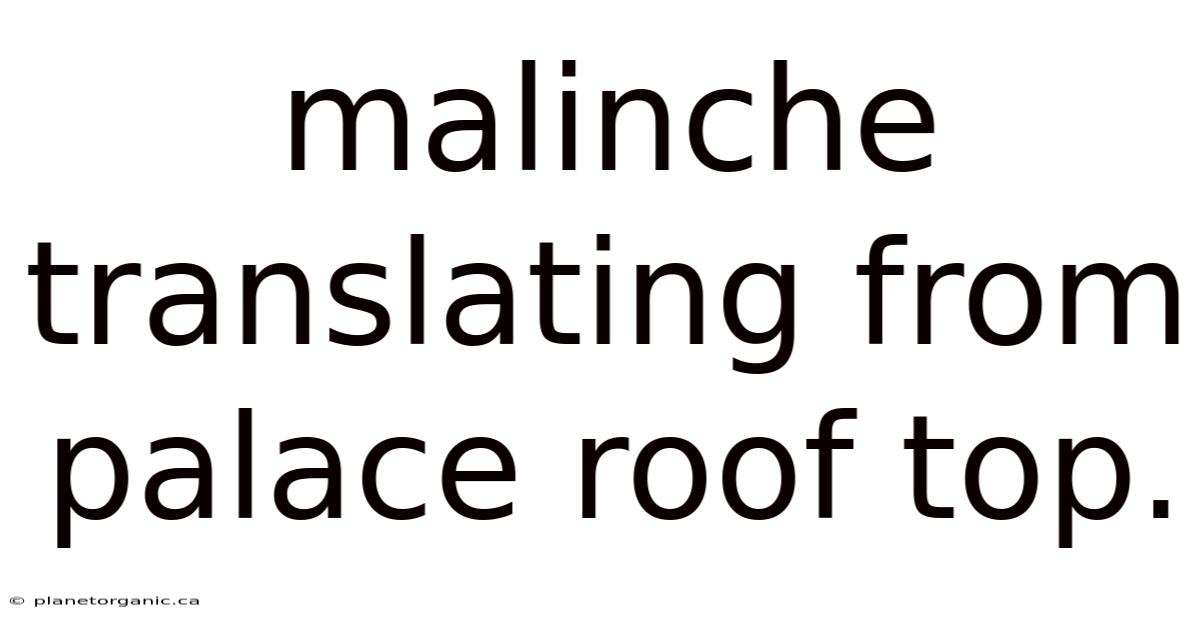 Malinche Translating From Palace Roof Top.