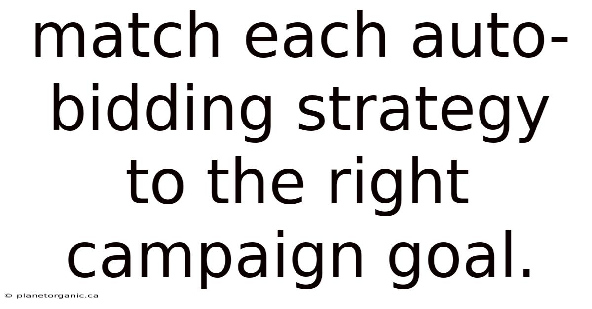Match Each Auto-bidding Strategy To The Right Campaign Goal.