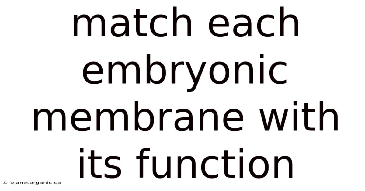 Match Each Embryonic Membrane With Its Function