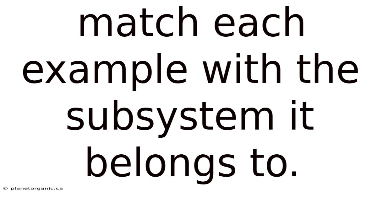 Match Each Example With The Subsystem It Belongs To.