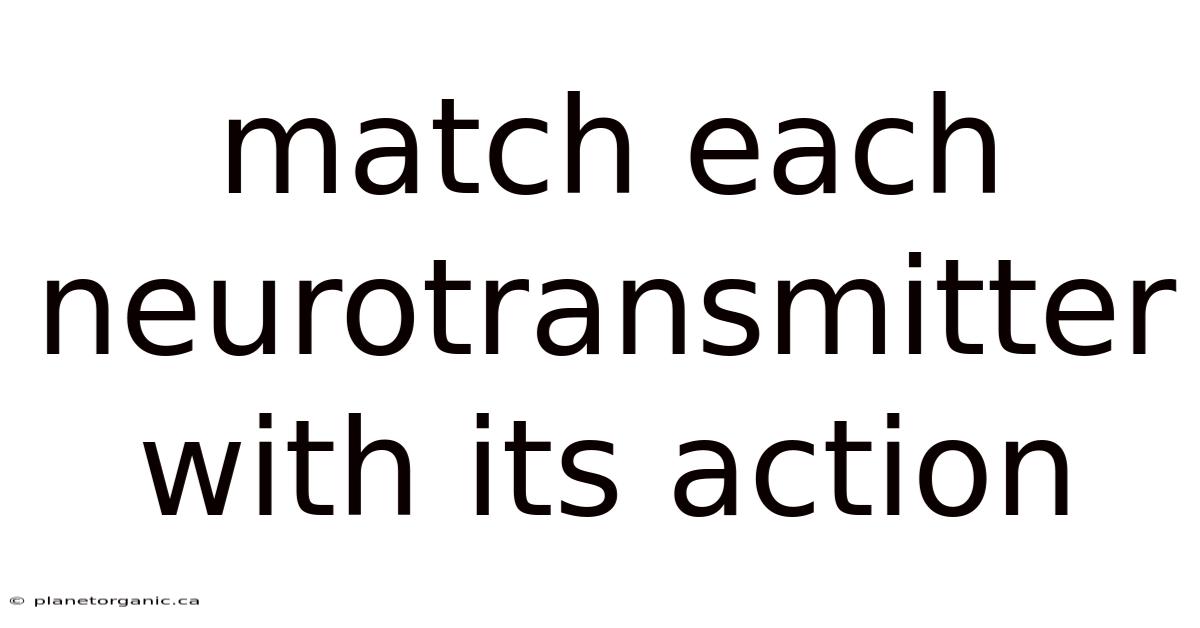Match Each Neurotransmitter With Its Action