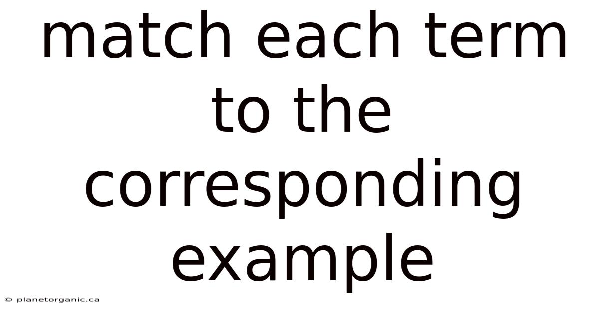 Match Each Term To The Corresponding Example
