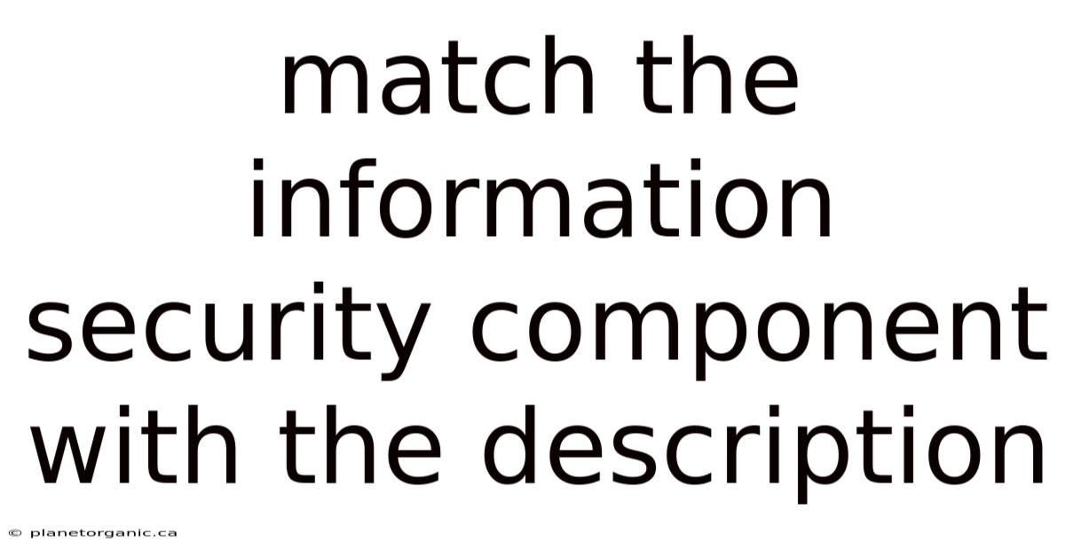 Match The Information Security Component With The Description