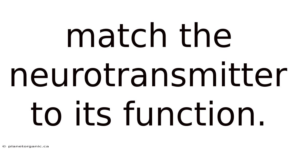 Match The Neurotransmitter To Its Function.