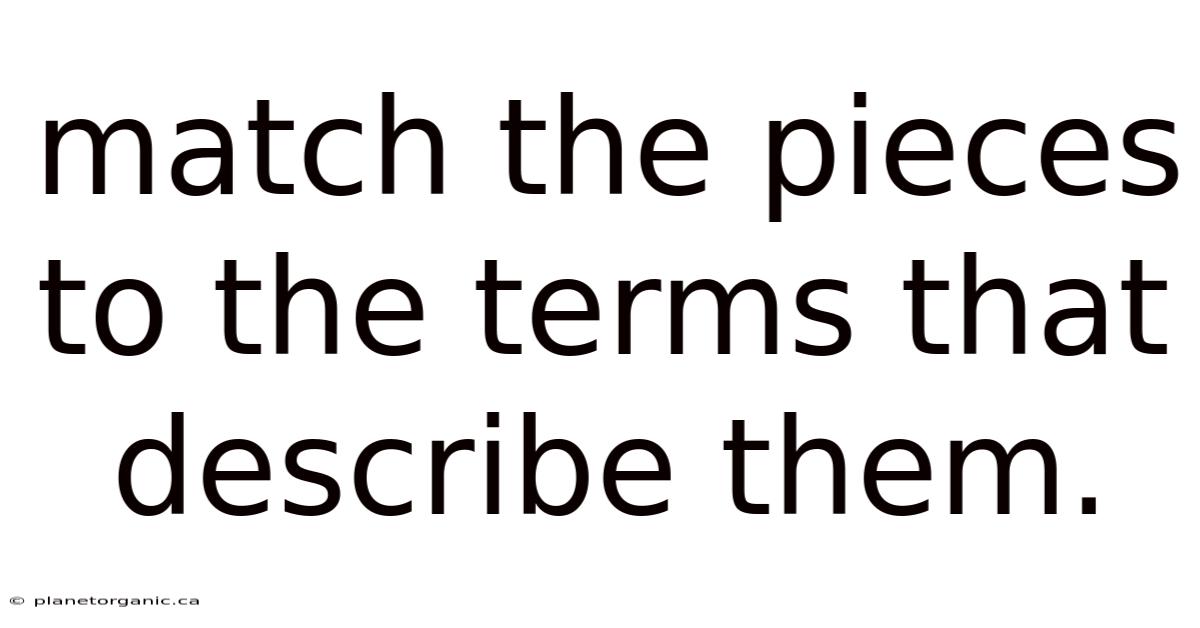 Match The Pieces To The Terms That Describe Them.