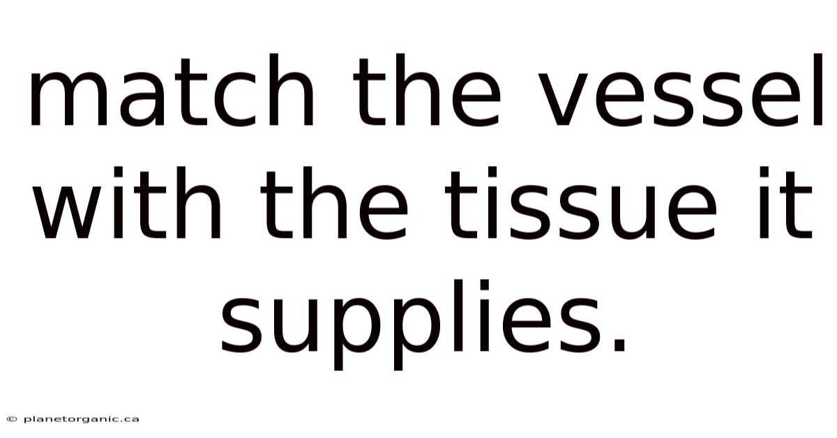 Match The Vessel With The Tissue It Supplies.