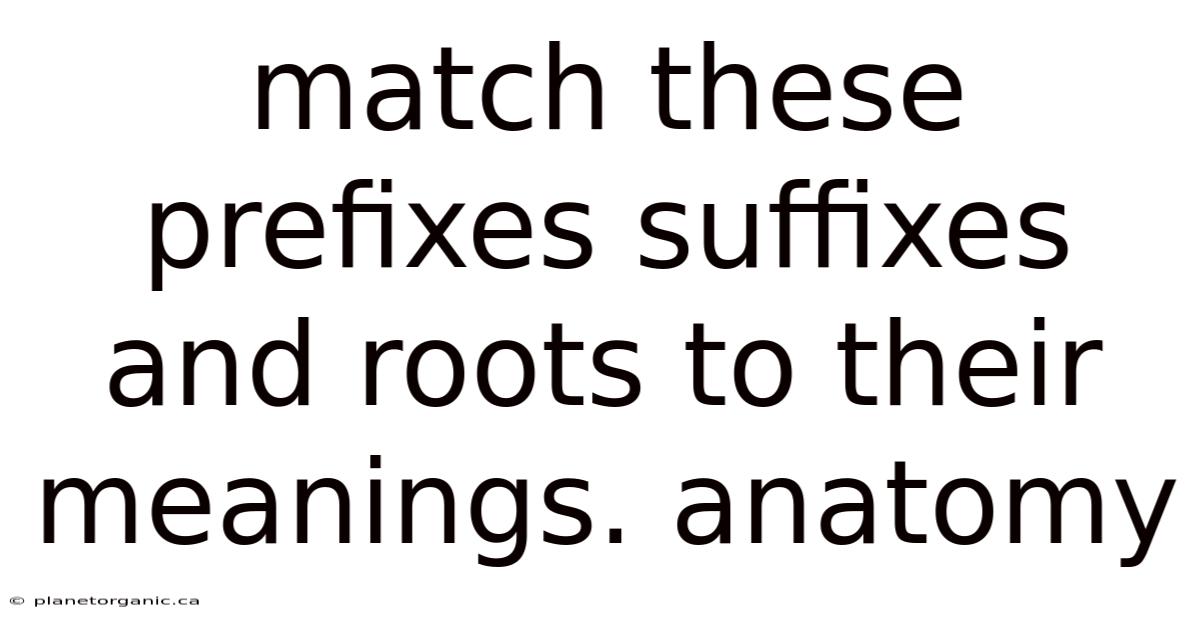 Match These Prefixes Suffixes And Roots To Their Meanings. Anatomy