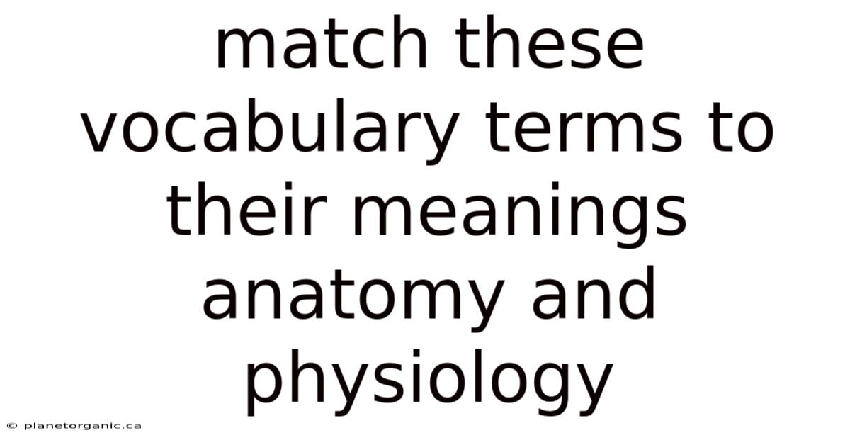 Match These Vocabulary Terms To Their Meanings Anatomy And Physiology