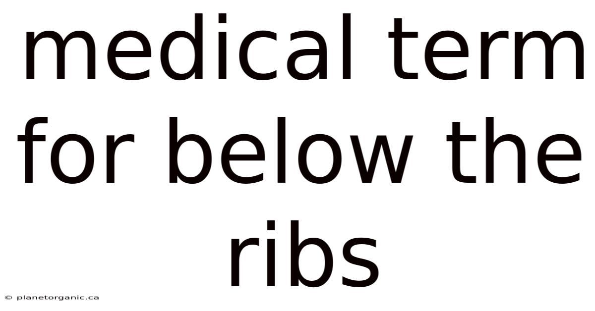 Medical Term For Below The Ribs