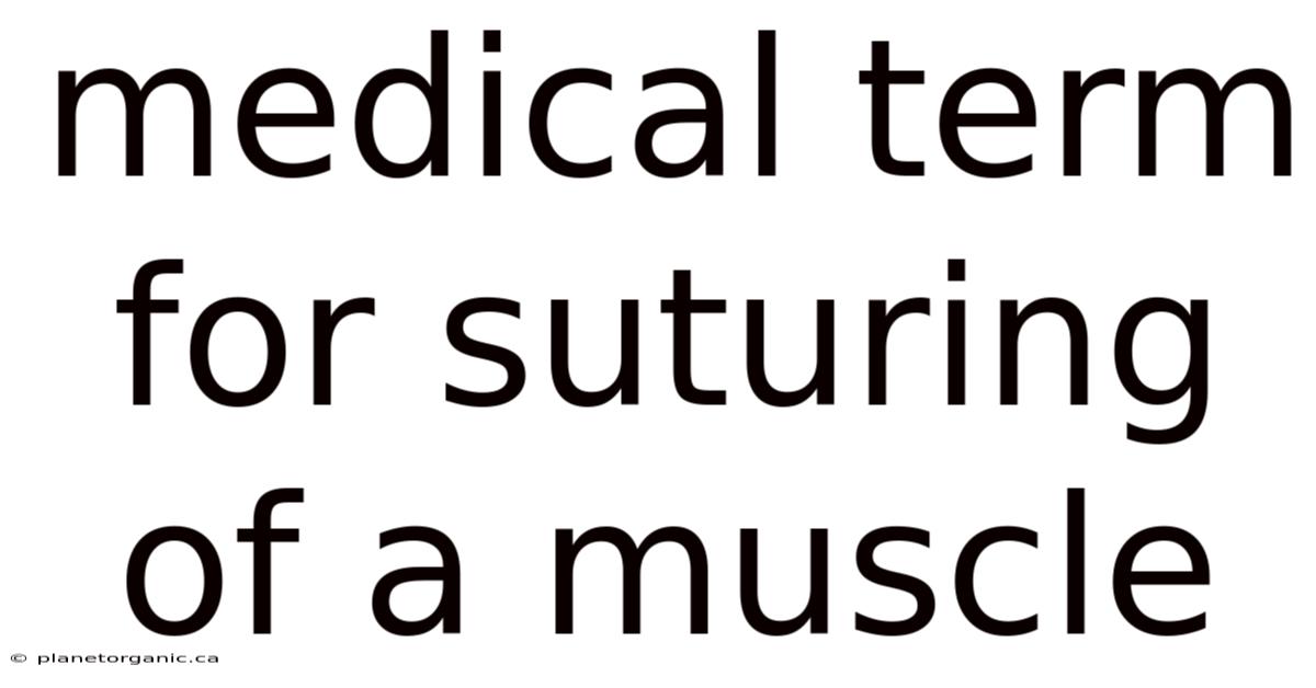 Medical Term For Suturing Of A Muscle