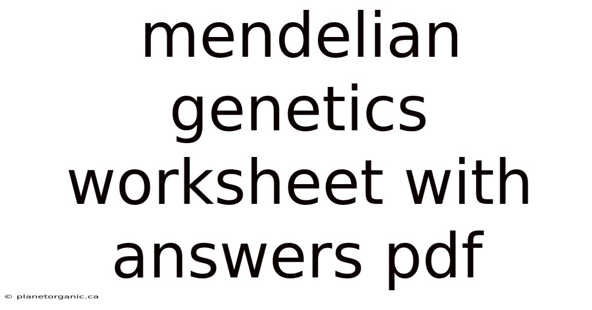 Mendelian Genetics Worksheet With Answers Pdf