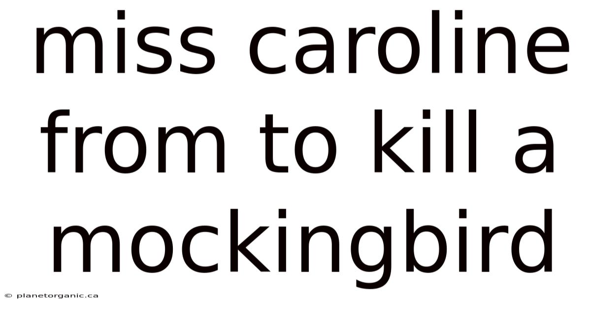 Miss Caroline From To Kill A Mockingbird