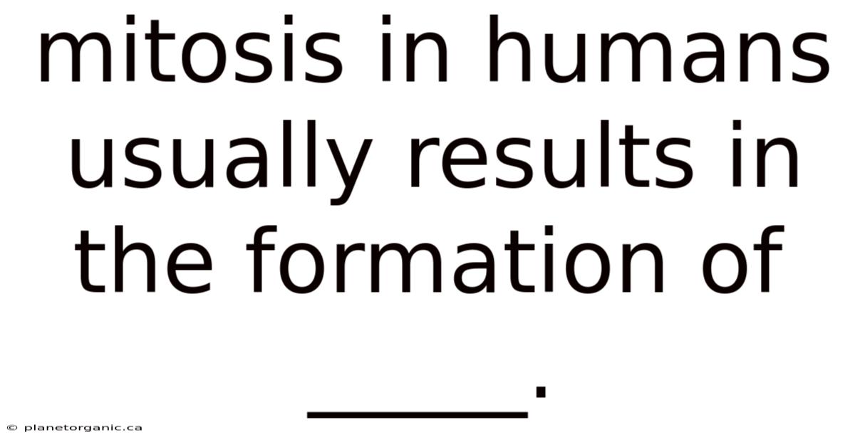Mitosis In Humans Usually Results In The Formation Of _____.