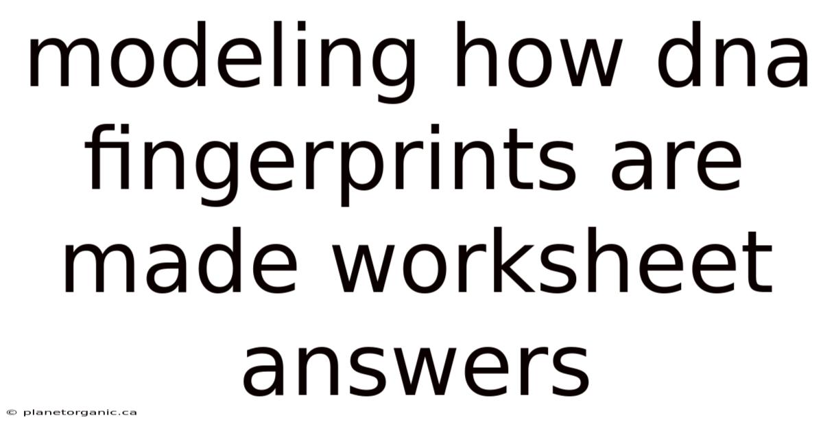 Modeling How Dna Fingerprints Are Made Worksheet Answers