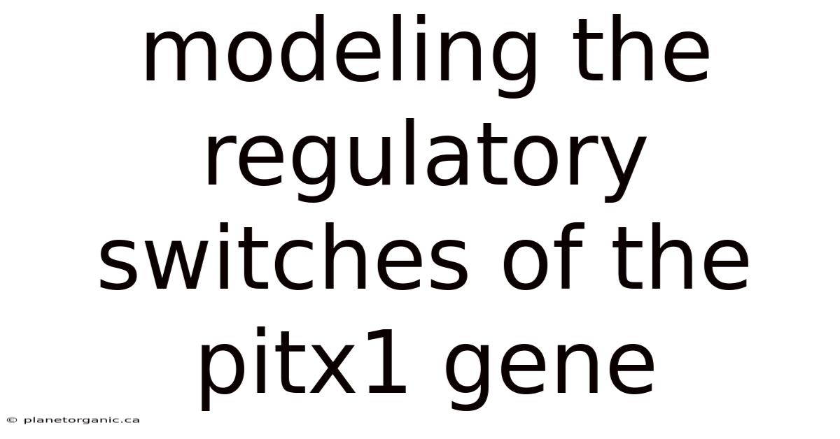 Modeling The Regulatory Switches Of The Pitx1 Gene