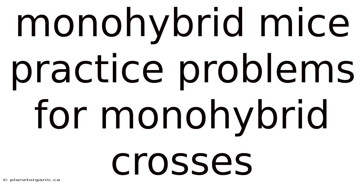 Monohybrid Mice Practice Problems For Monohybrid Crosses