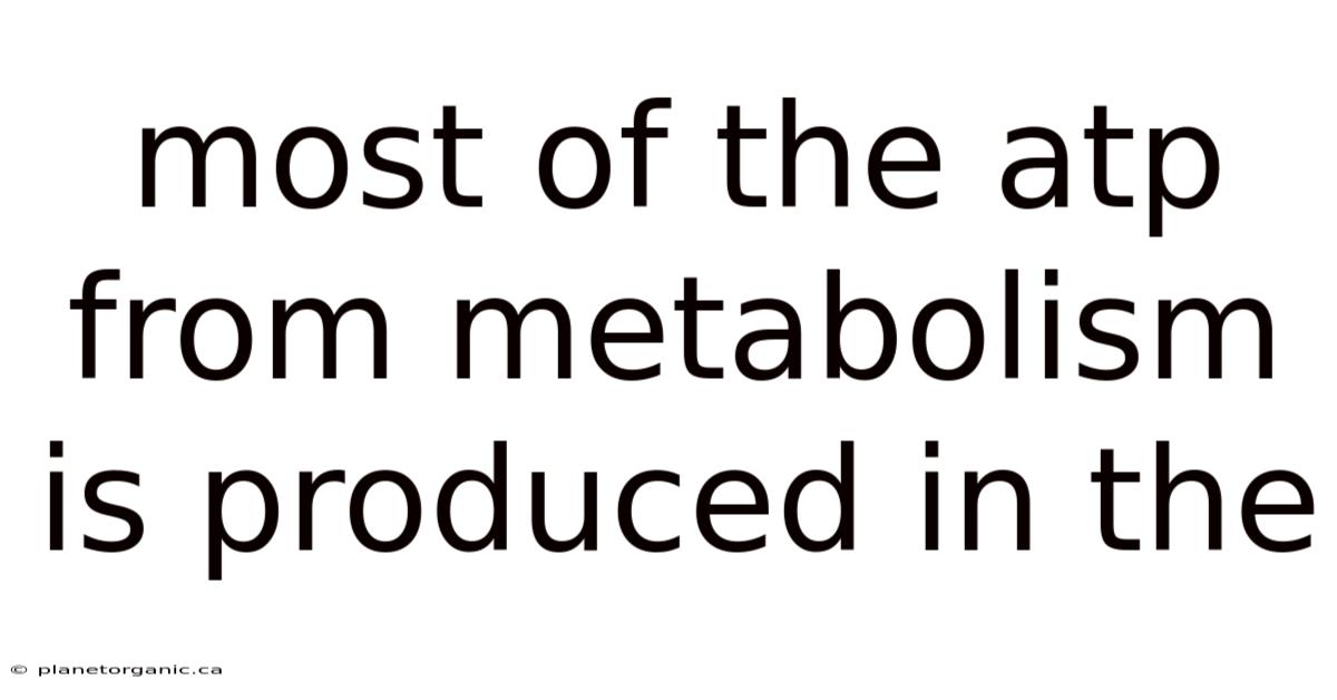 Most Of The Atp From Metabolism Is Produced In The
