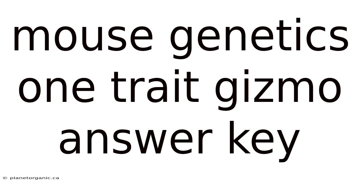 Mouse Genetics One Trait Gizmo Answer Key