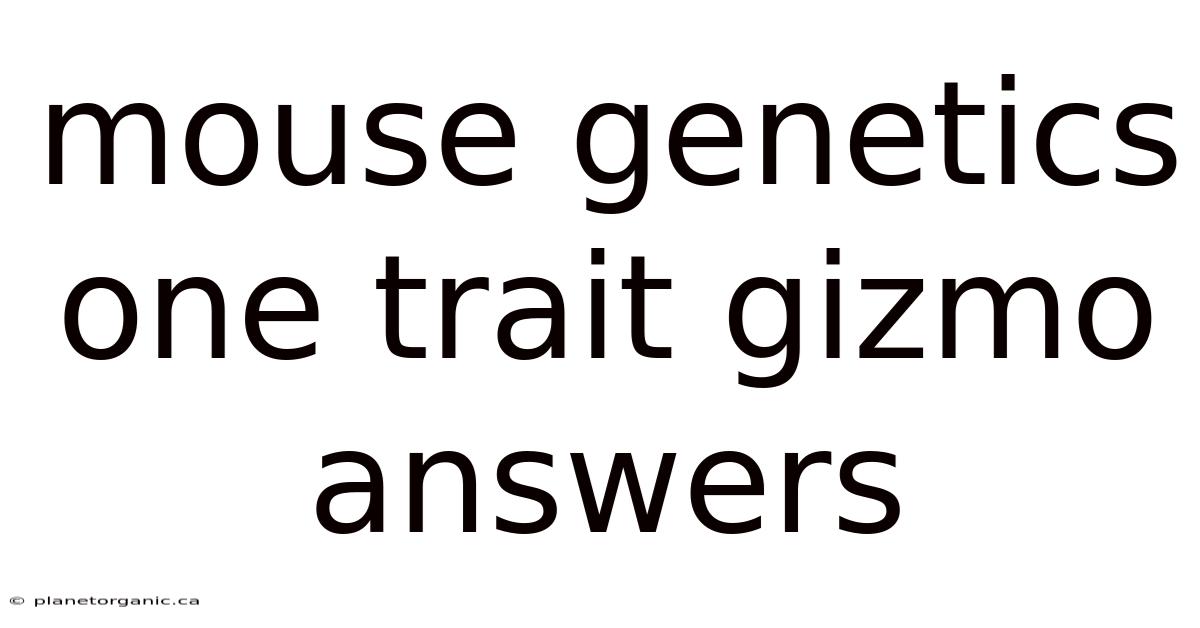 Mouse Genetics One Trait Gizmo Answers
